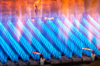 Brackenbottom gas fired boilers